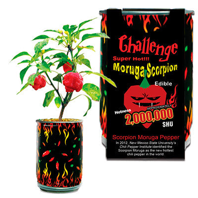Moruga Scorpion Plant Growing Kit